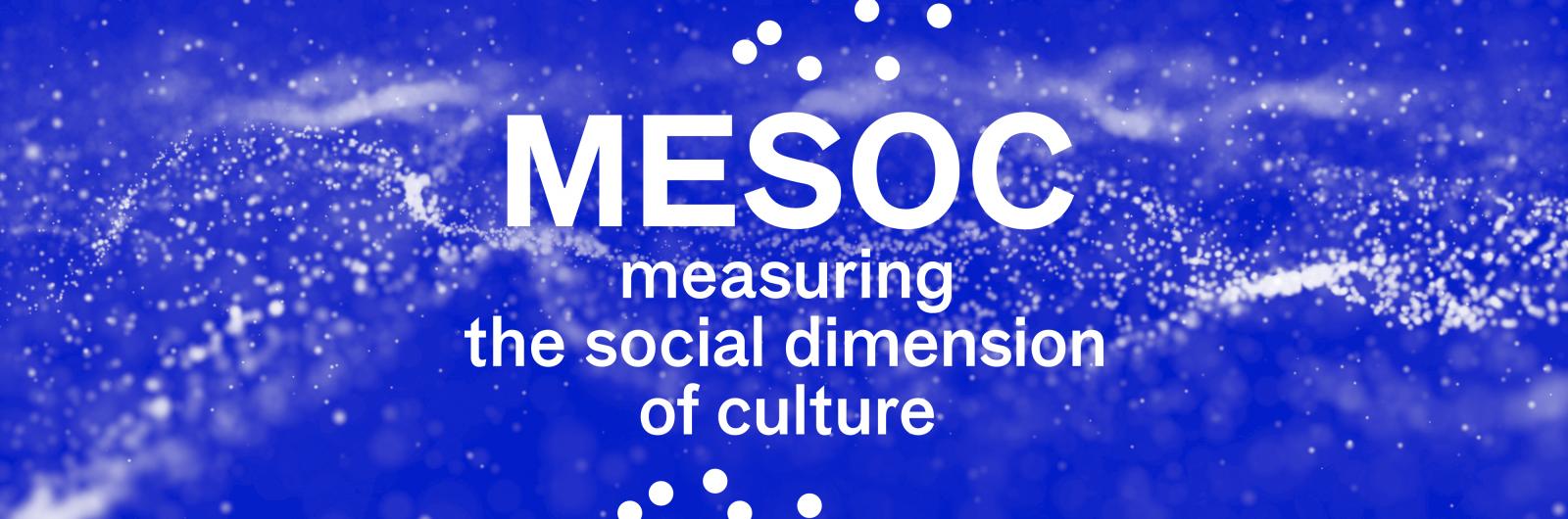 MESOC - measuring the social dimension of culture